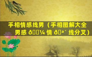 手相情感线男（手相图解大全男感 🌼 情 🪴 线分叉）